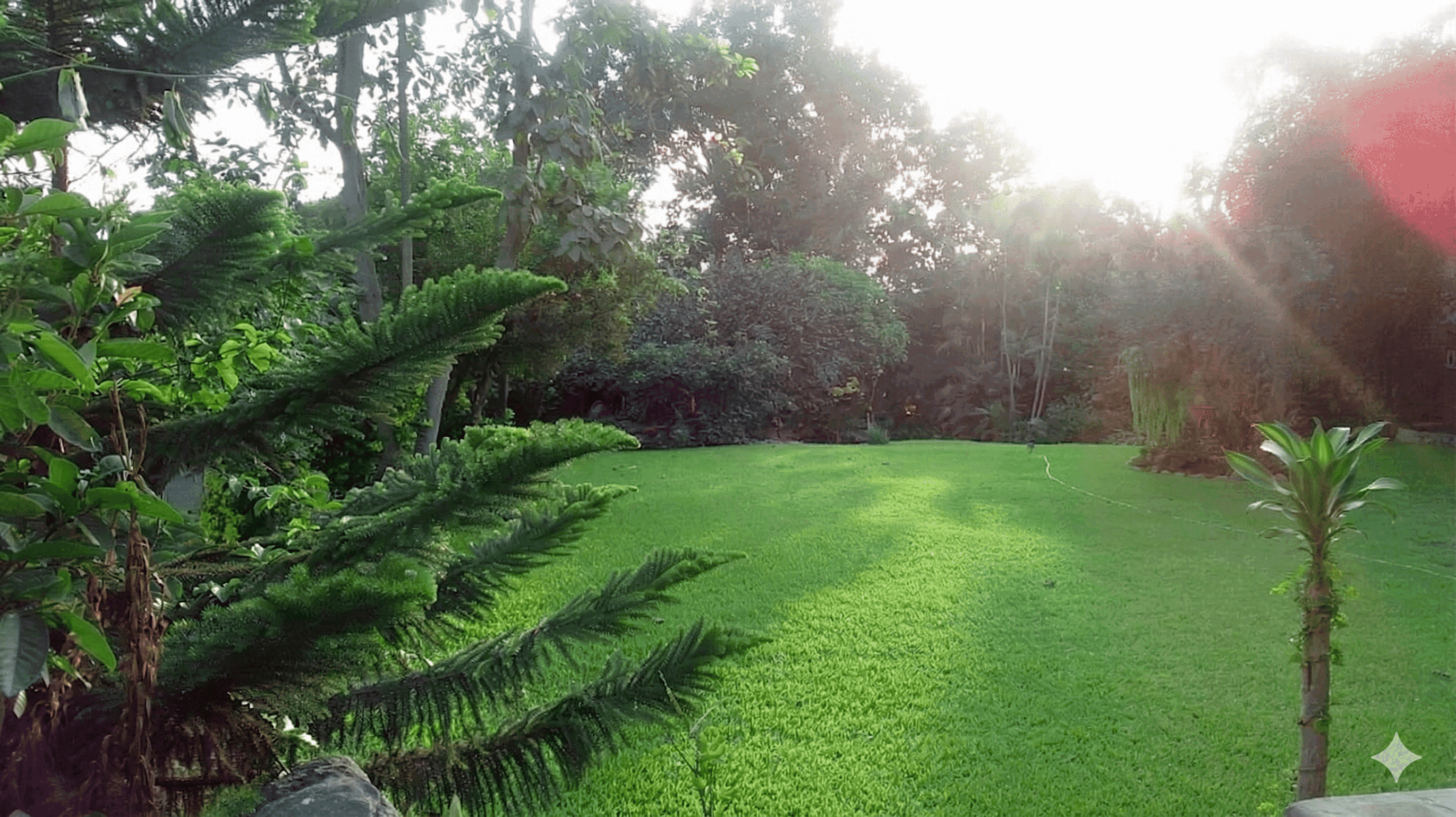 local campestre huachipa 50