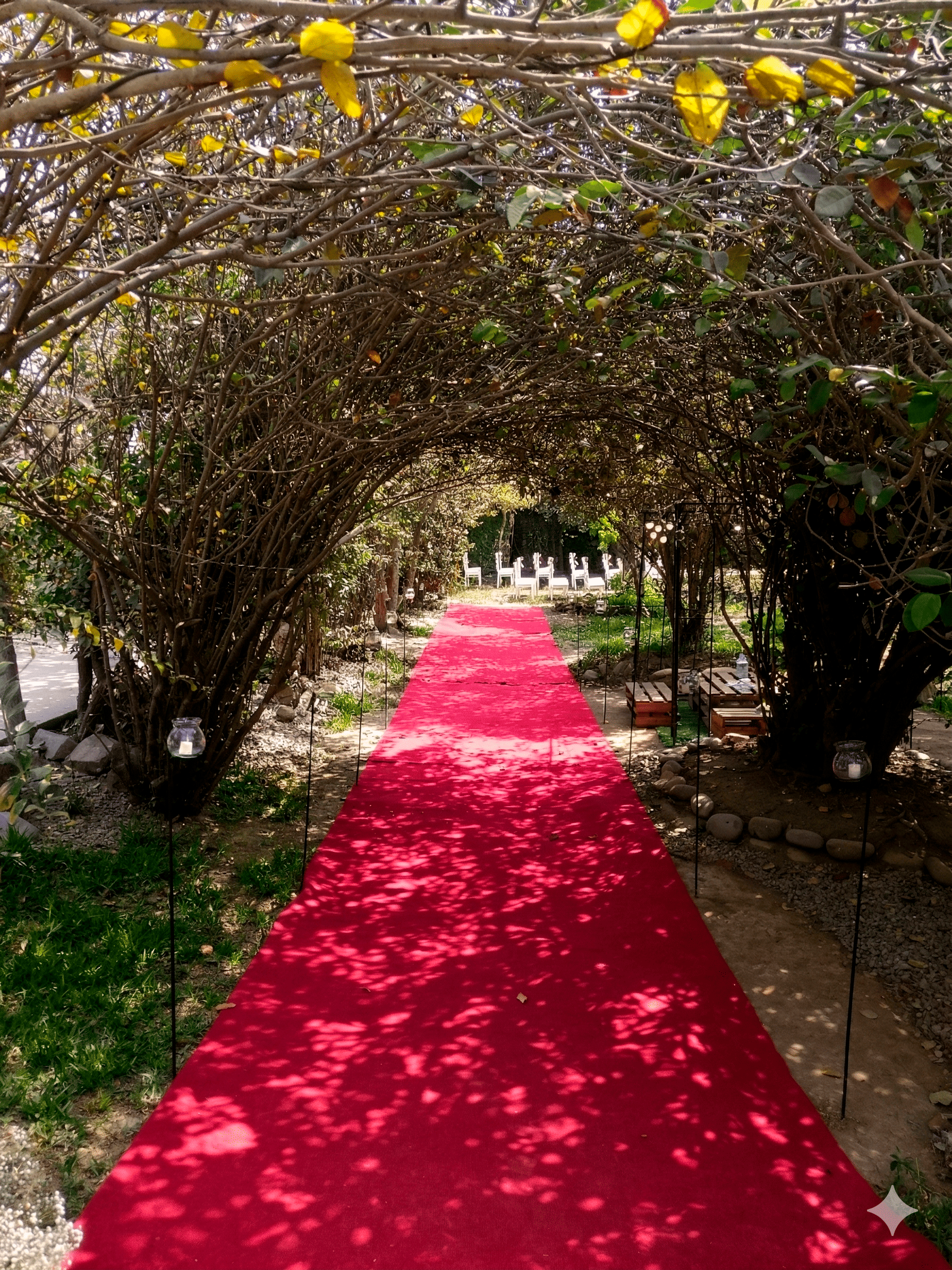 tunel-local-campestre-huachipa